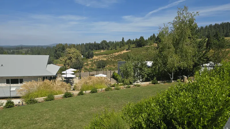 Winery grounds and vineyard hillside view from Morton Family Cellars in Camino CA
